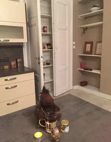 Pronájem bytu 2+kk, Liberec, Gorkého, 73 m2