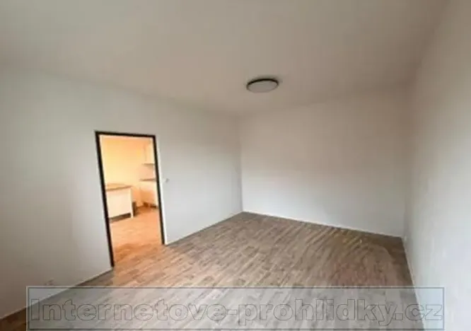 Pronájem bytu 1+1, Ústí nad Labem, Železná, 35 m2