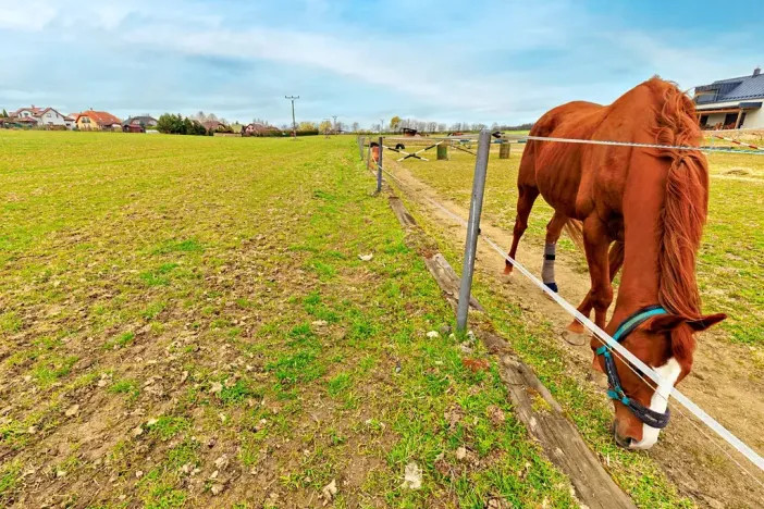 Prodej pozemku pro bydlení, Krmelín, Zahradnická, 1543 m2