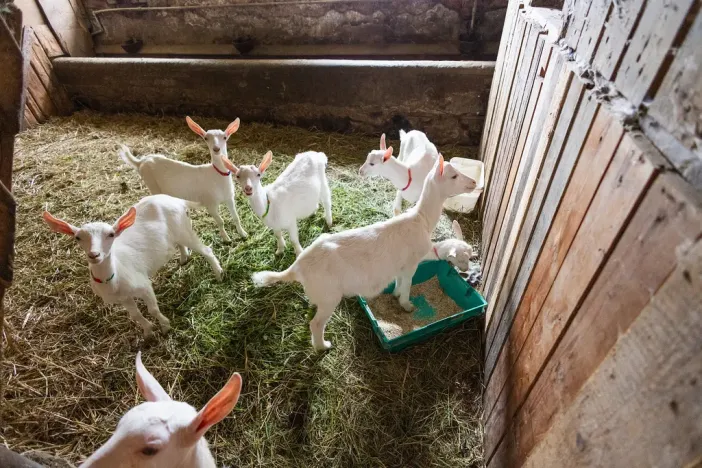 Prodej komerční, Potštejn - Brná, 23296 m2