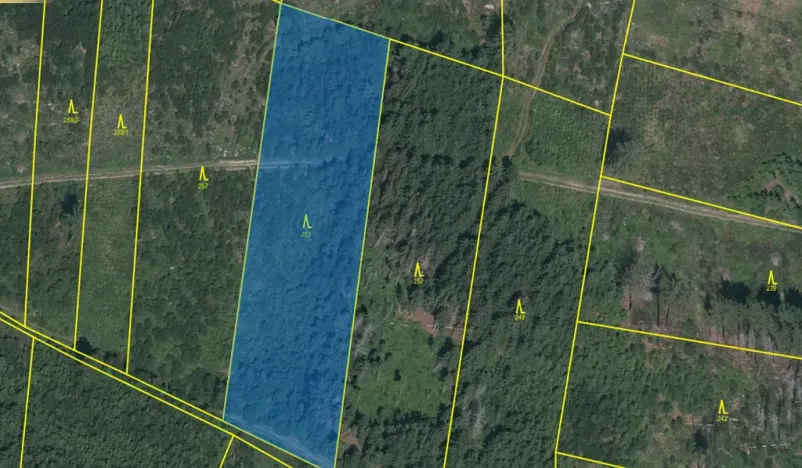 Prodej lesa, Kolinec - Buršice, 5195 m2