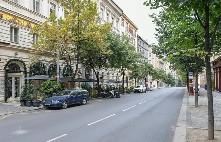 Pronájem bytu 3+kk, Praha - Vinohrady, Italská, 106 m2