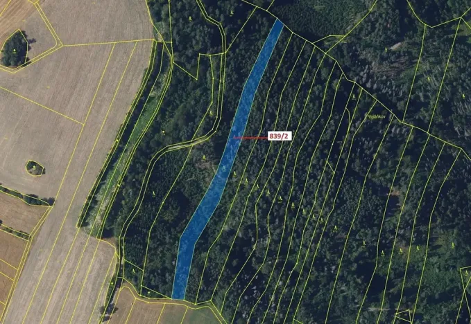 Dražba lesa, Žďárec, 5465 m2