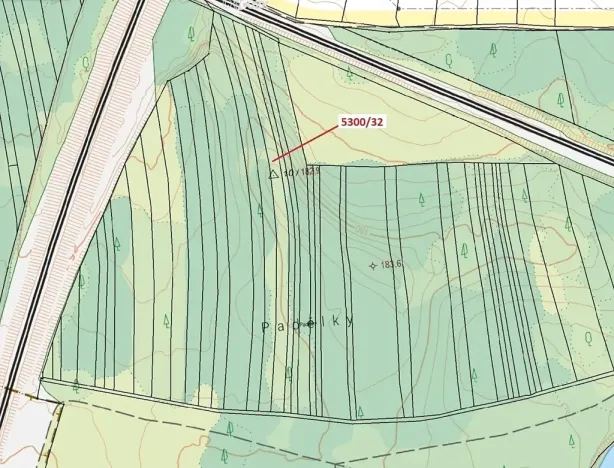 Dražba lesa, Bzenec, 4949 m2