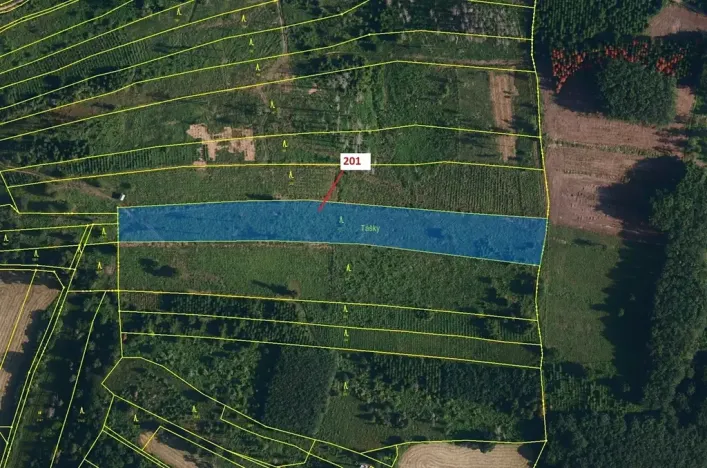 Dražba lesa, Loukovice, 7796 m2