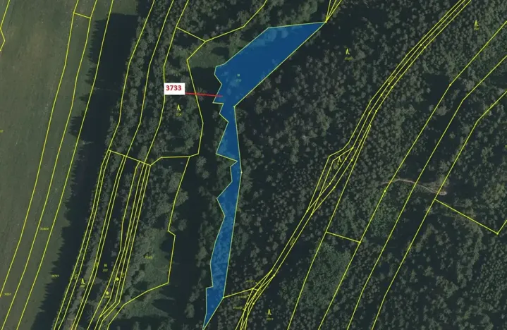 Dražba louky, Strmilov, 4435 m2