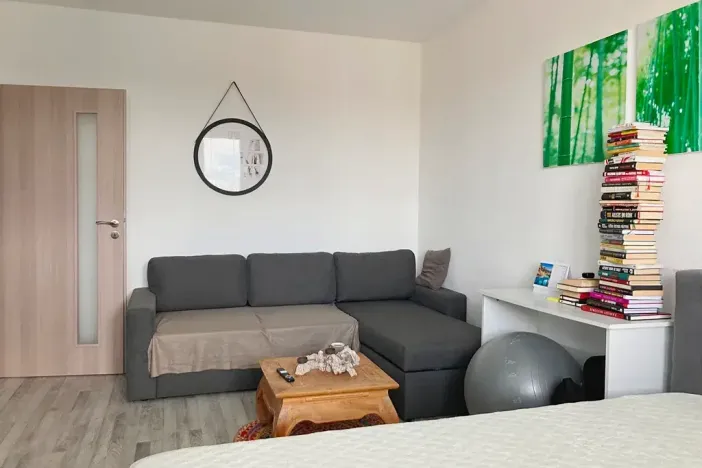 Pronájem bytu 1+1, Ostrava, Opavská, 34 m2