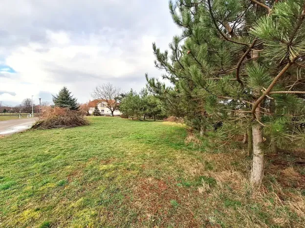 Prodej pozemku pro bydlení, Lužec nad Cidlinou, 1191 m2