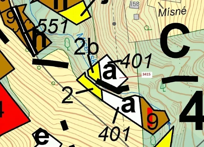 Dražba lesa, Zděchov, 1093 m2