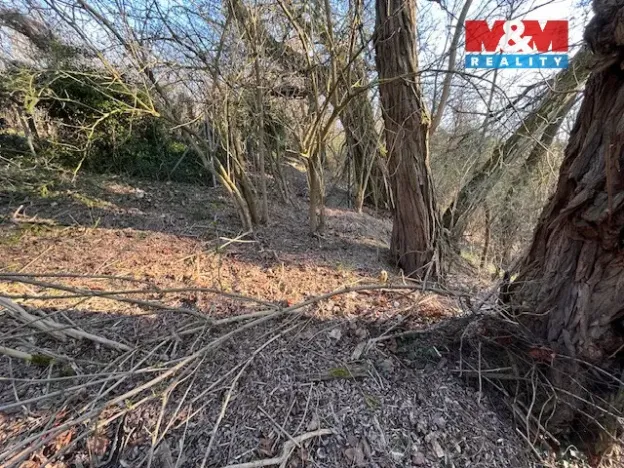 Prodej pozemku pro bydlení, Škvorec, Na Pazderně, 3136 m2