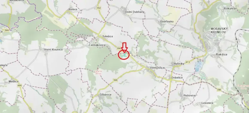 Prodej lesa, Vémyslice, 5661 m2