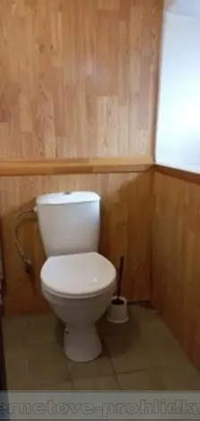 Pronájem bytu 1+kk, Žitenice, 40 m2