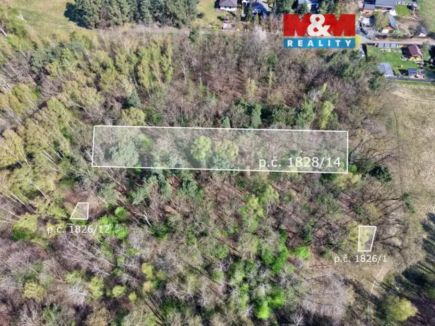 Prodej lesa, Sadská, 1964 m2