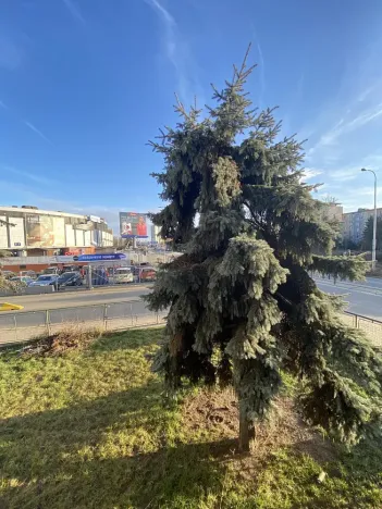 Pronájem bytu 3+1, Brno - Staré Brno, Poříčí, 81 m2