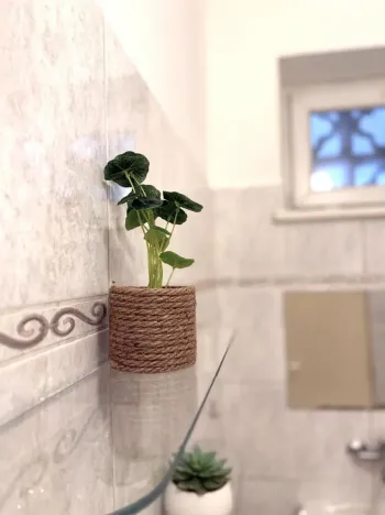 Pronájem bytu 3+1, Brno - Staré Brno, Poříčí, 81 m2