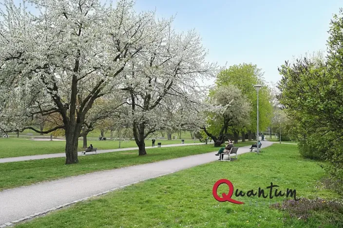 Pronájem bytu 2+kk, Praha - Prosek, Jablonecká, 55 m2