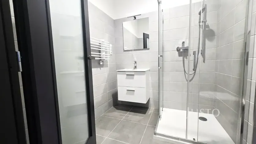 Pronájem bytu 1+kk, Písek, Vladislavova, 40 m2