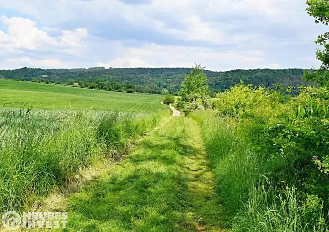 Prodej pozemku pro bydlení, Dlouhá Loučka, 1515 m2