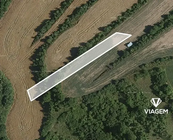 Prodej pole, Tučapy, 1405 m2