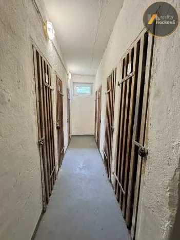 Prodej bytu 2+1, Praha - Vinohrady, Nad Primaskou, 60 m2