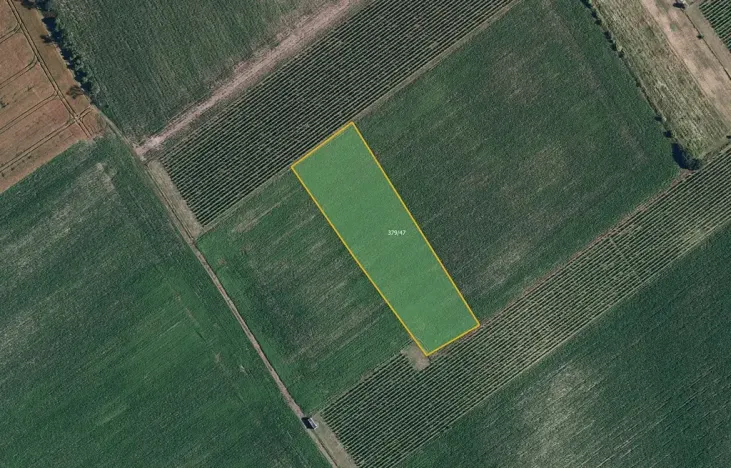 Prodej pole, Nový Poddvorov, 6317 m2