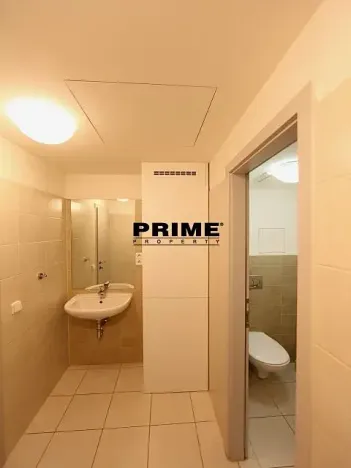 Pronájem bytu 5+1, Praha - Smíchov, Štefánikova, 168 m2