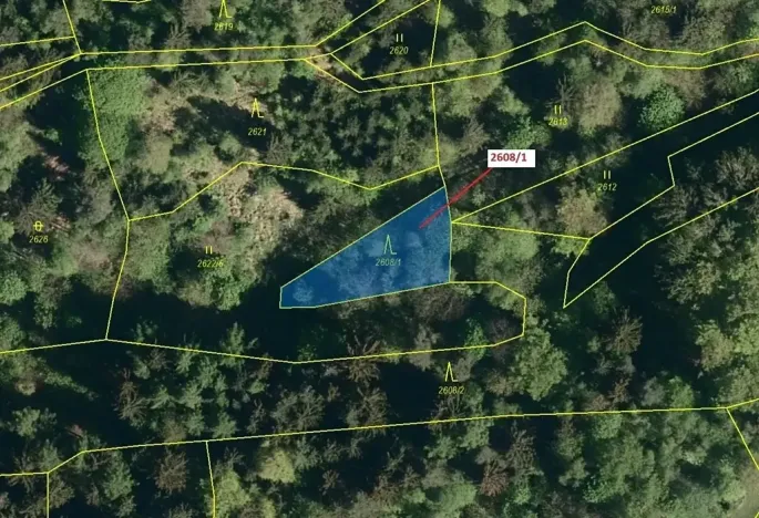 Dražba lesa, Zděchov, 481 m2