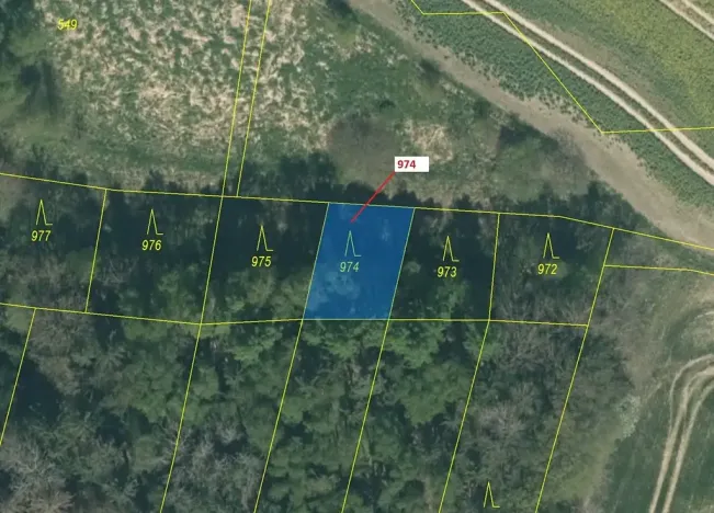 Dražba lesa, Vesce, 260 m2