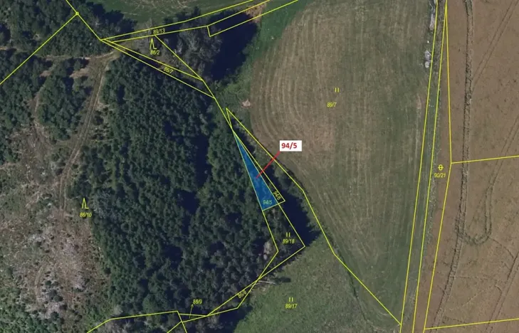 Dražba lesa, Žižkovo Pole, 119 m2