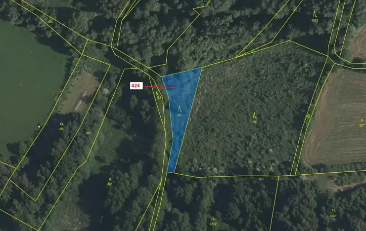 Dražba lesa, Strmilov, 140 m2