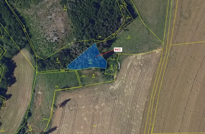 Dražba lesa, Žižkovo Pole, 909 m2