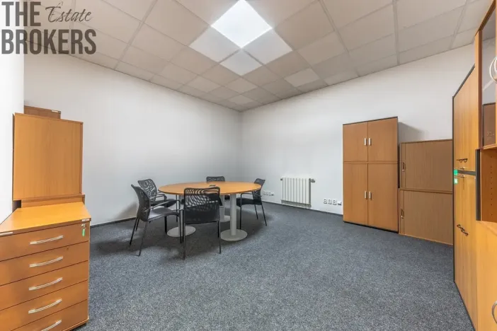 Pronájem rodinného domu, Mladá Boleslav - Čejetice, Koněvova, 296 m2