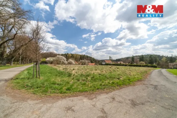 Prodej pozemku pro bydlení, Březnice - Bor, 2692 m2