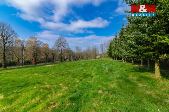 Prodej pozemku pro bydlení, Nové Město pod Smrkem, 1213 m2