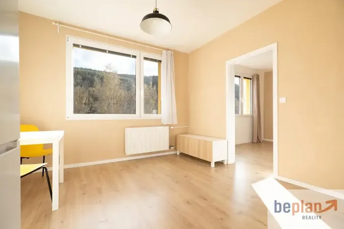 Pronájem bytu 1+1, Děčín, Teplická, 37 m2