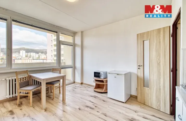 Pronájem bytu 1+kk, Litvínov - Horní Litvínov, Mostecká, 21 m2