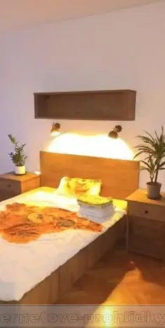 Pronájem pokoje, Brno, Marie Majerové, 15 m2