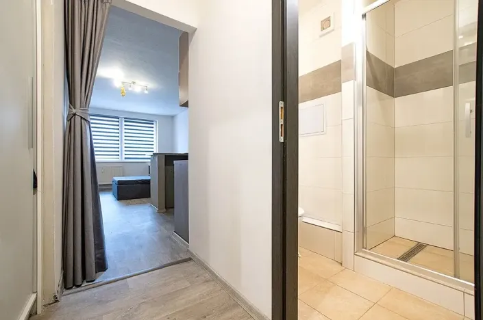 Prodej bytu 1+kk, České Budějovice, K. Chocholy, 30 m2