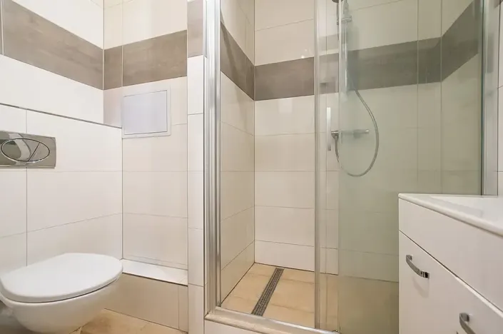 Prodej bytu 1+kk, České Budějovice, K. Chocholy, 30 m2