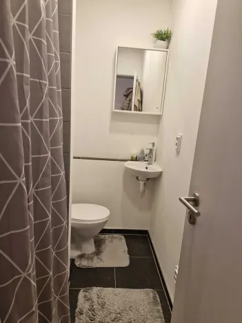 Prodej bytu 2+kk, Liberec, Oldřichova, 36 m2