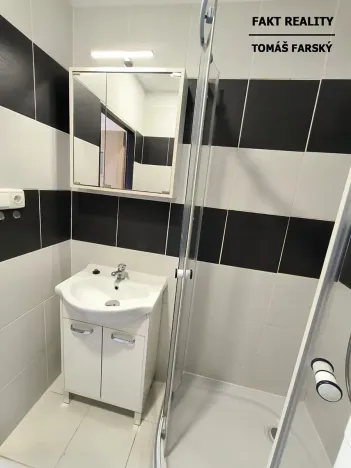 Pronájem bytu 2+1, Ústí nad Labem, Pincova, 65 m2