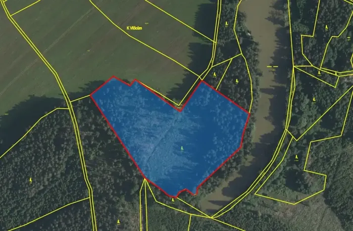Prodej lesa, Nová Olešná, 22371 m2