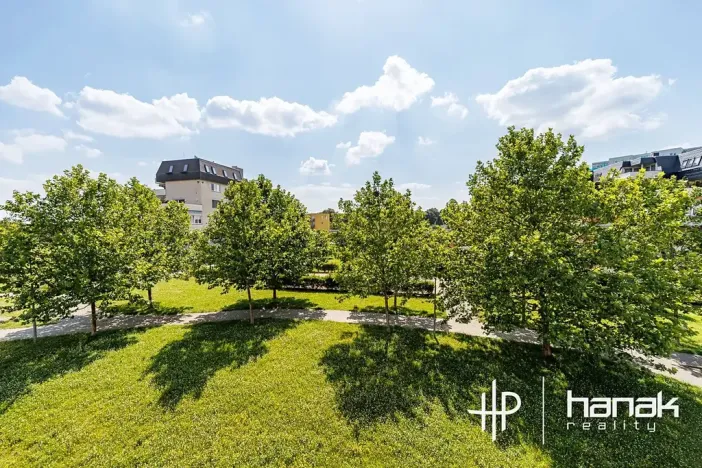 Pronájem bytu 1+kk, Olomouc, Okružní, 32 m2