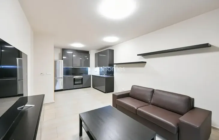 Pronájem bytu 1+kk, Praha - Bubeneč, Mlýnská, 47 m2