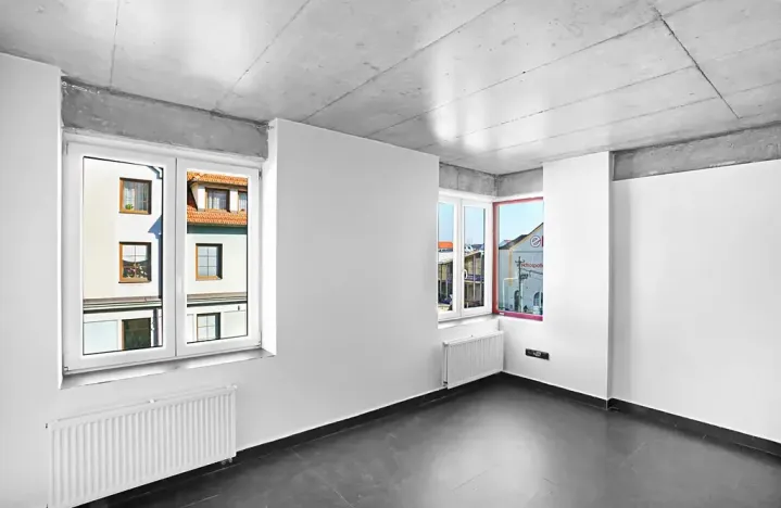 Prodej bytu 2+kk, České Budějovice, Rudolfovská tř., 98 m2