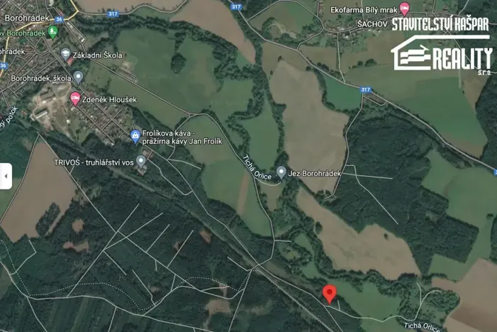 Prodej lesa, Borohrádek, Rudé armády, 5514 m2