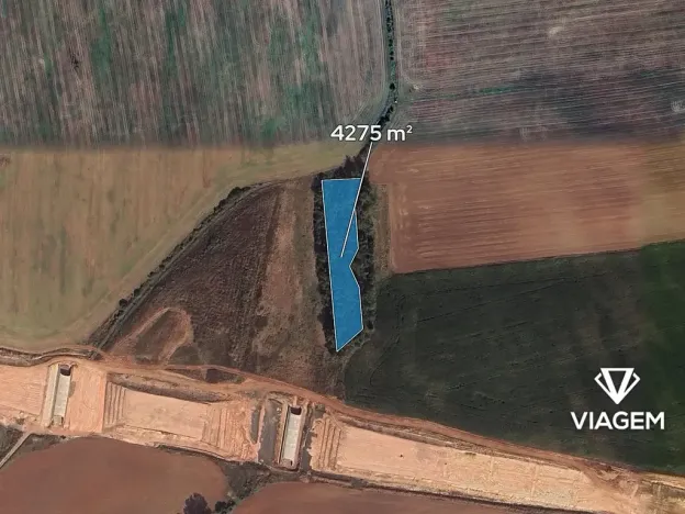 Prodej podílu lesa, Hořesedly, 1425 m2