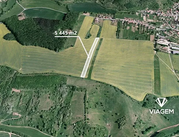 Prodej podílu pole, Částkov, 2904 m2