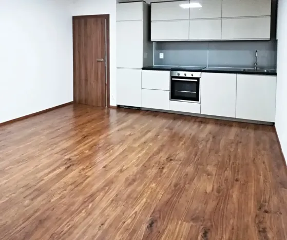 Pronájem bytu 2+kk, Praha - Dejvice, Lindleyova, 55 m2