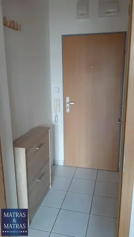 Prodej bytu 1+kk, Brno, Božetěchova, 23 m2